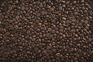 Close up of coffee beans.