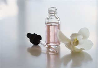 Close up of flower and bottle of oil.