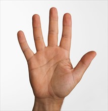 Close up studio shot of palm side of man's hand.