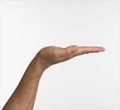 Studio shot of man's hand with palm up.