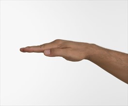 Studio shot of man's hand with palm down.