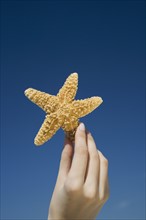Close up of woman holding starfish.