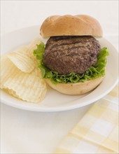 Close up of hamburger on plate.