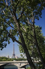 View through trees to Eiffel Tower.