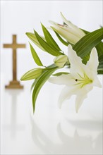 Close up of flowers with cross in background.
