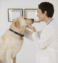 Female veterinarian examining in dog.