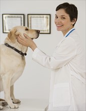 Female veterinarian examining in dog.