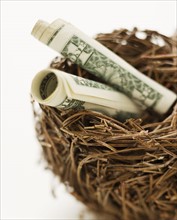 Rolled dollar bills in bird’s nest.