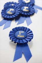 Close up of First Place ribbons.