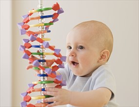 Baby playing with DNA model.