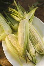 Corn on the cob on platter.