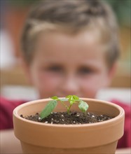 Boy looking at potted plant.