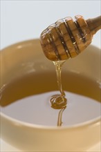 Close up of honey dipper in honey.