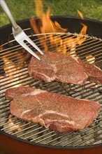 Steaks cooking on grill.