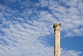 Corinthian column of Phocus, Roman Forum, Italy.