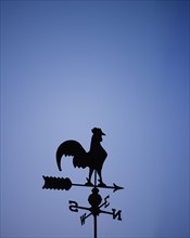 Weather vane with rooster.