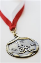Close up of First Place medal.
