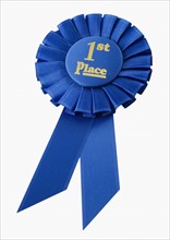 Close up of First Place ribbon.