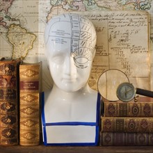 Phrenology head diagram on shelf with books.