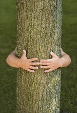 Person hugging tree.