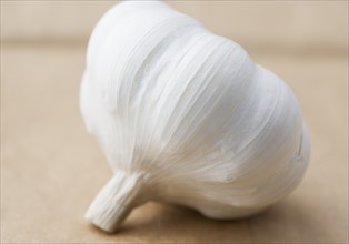 Still life of a head of garlic. Date : 2006