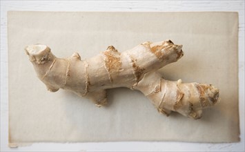 Closeup of ginger root. Date : 2006