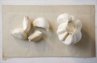 Still life of garlic. Date : 2006