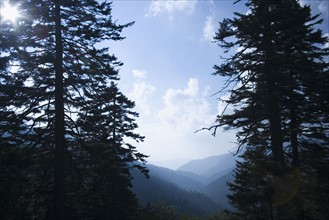 Smoky Mountain National Park USA. Date : 2006