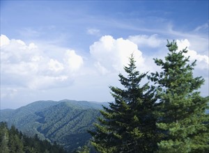 Smoky Mountain National Park USA. Date : 2006