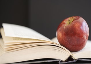 Close up of open book and apple. Date : 2006