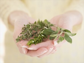 Woman holding fresh herbs. Date : 2007