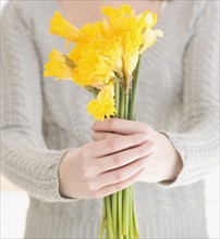 Woman holding bunch of daffodils. Date : 2007
