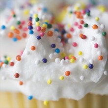 Closeup of sprinkles and frosting. Date : 2006