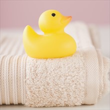 Close up of toy duck on towel. Date : 2007