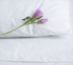 Closeup of pillow and bed sheets with  flower. Date : 2006