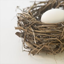 Still life of egg in a nest. Date : 2006