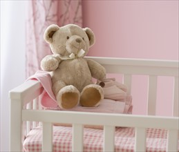 Teddy bear in crib. Date : 2007