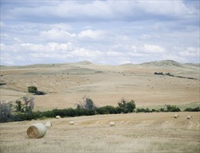 Hay bales southern Montana USA. Date : 2006