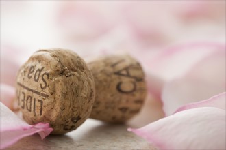Closeup of cork with rose petals. Date : 2006
