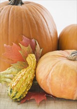 Still life of pumpkins and fall leaves. Date : 2006