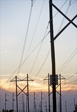 Electrical poles and wires at sunset. Date : 2007