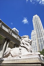 New York City Public Library. Date : 2007