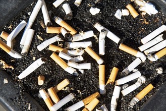 Cigarette butts in ashtray. Date : 2007
