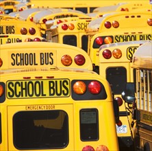 School buses parked in lines. Date : 2007