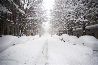 Snow covered street, New York City. Date : 2007