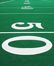 Close up of football field. Date : 2007