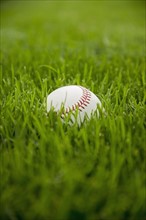 Baseball laying on grass. Date : 2006