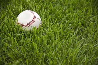 Baseball laying on grass. Date : 2006