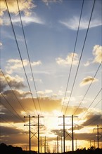 Electrical poles and wires at sunset. Date : 2007
