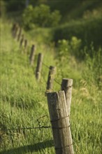 Close up of wooden fence. Date : 2007